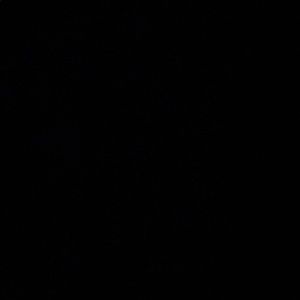 Meet your Posher, Elle